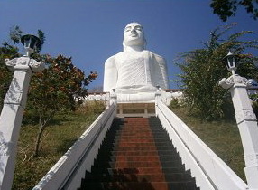 duddha